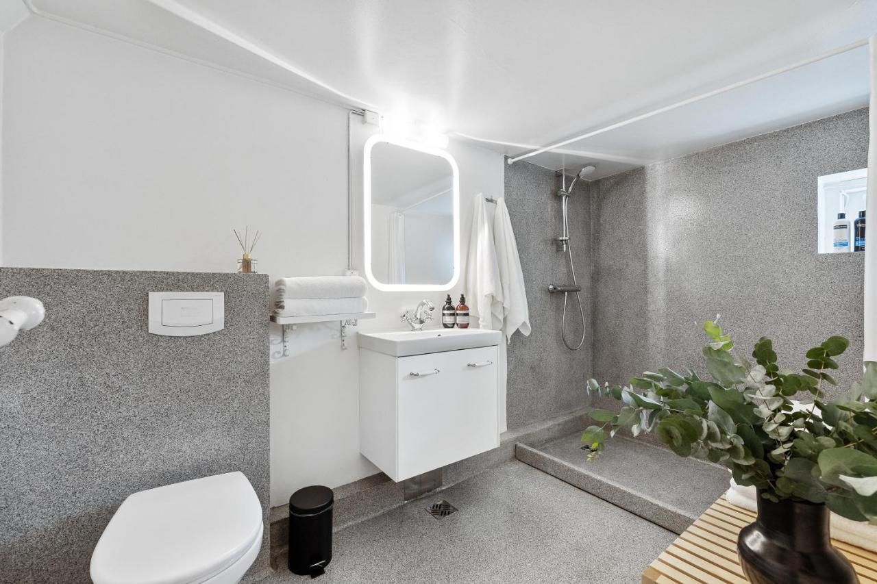 Luxury Villa In Downtown Reykjavik Extérieur photo